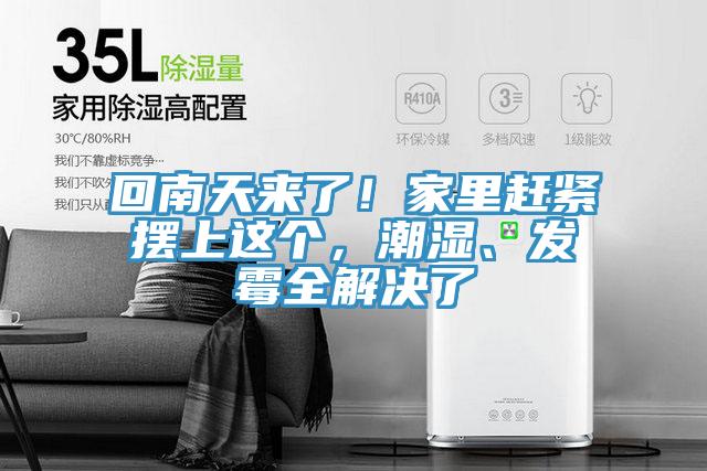回南天來了！家里趕緊擺上這個，潮濕、發(fā)霉全解決了